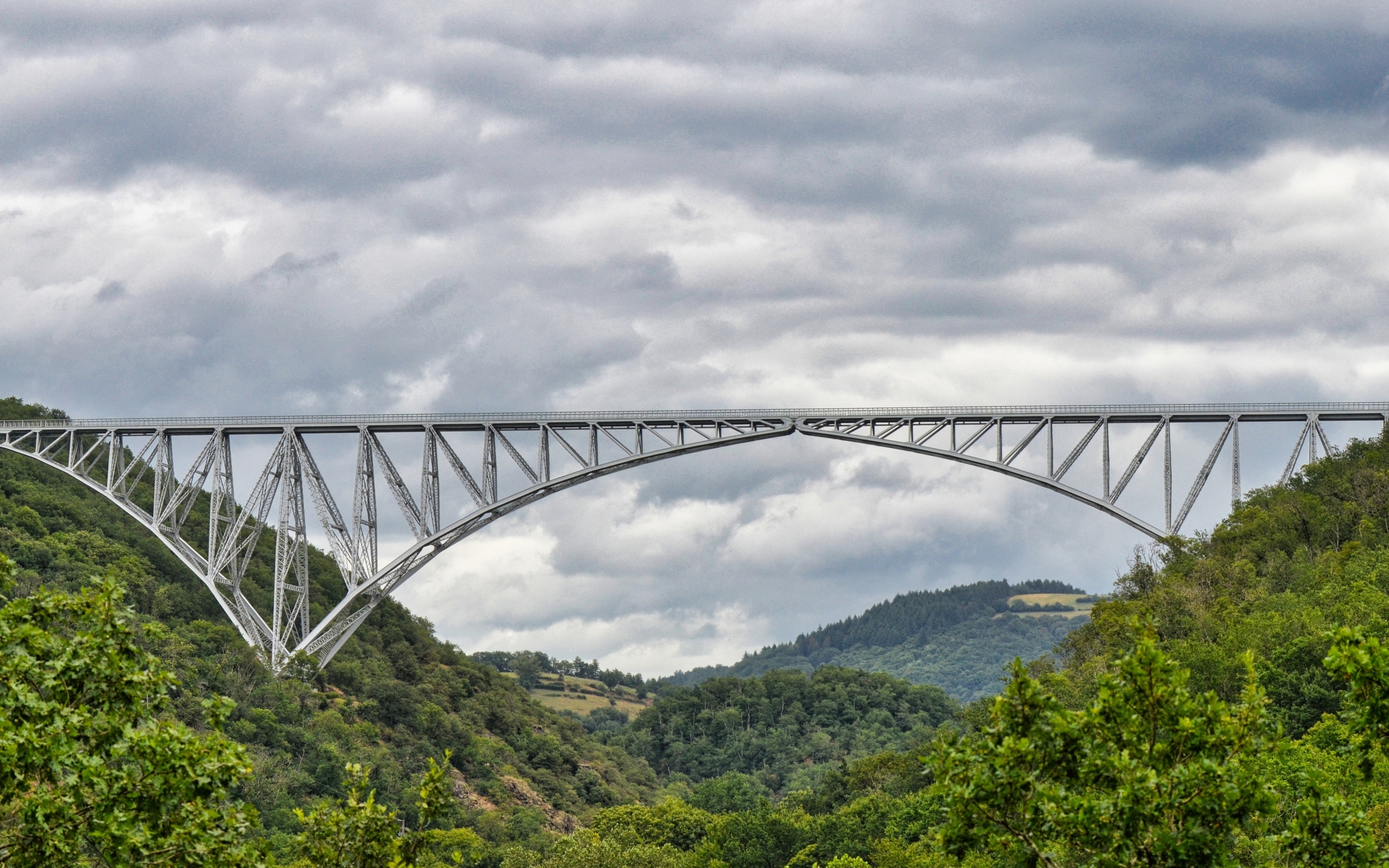 Вид на стальной виадук над покрытыми зеленью горами