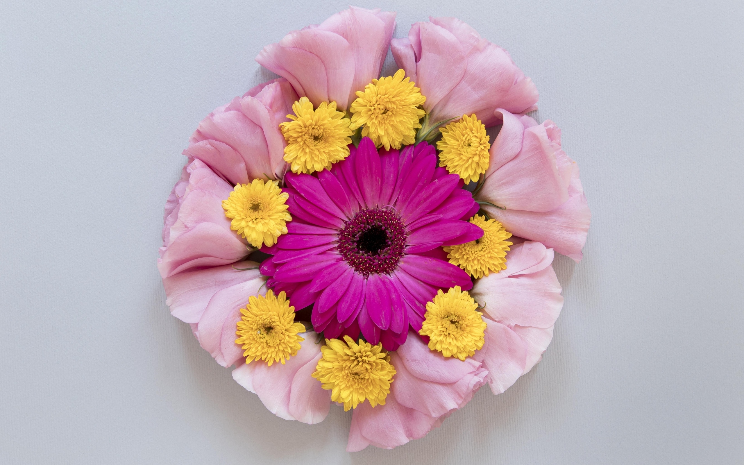 Круг из нежных цветов на сером фоне
