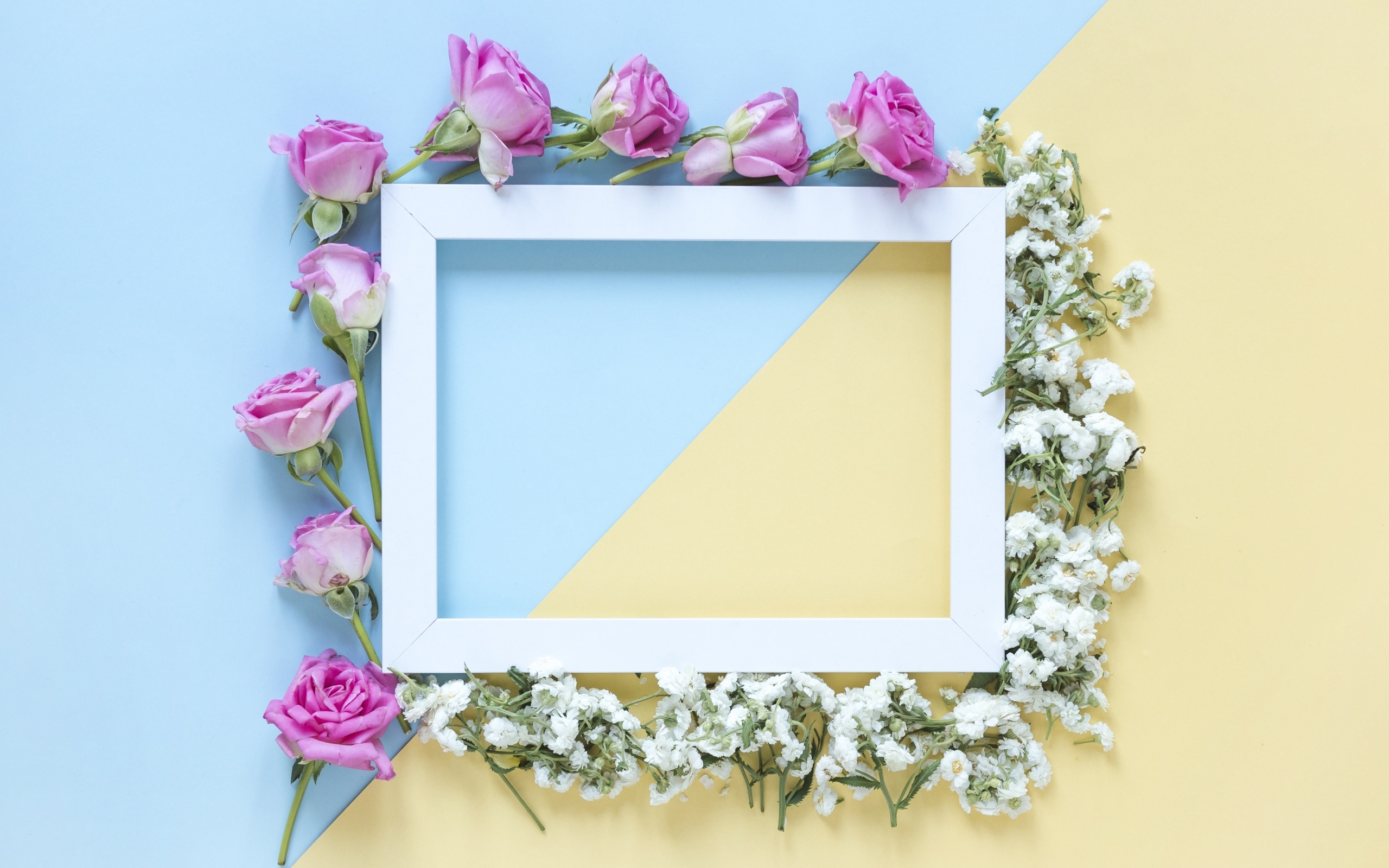 Рамка с цветами розы и гипсофилы 