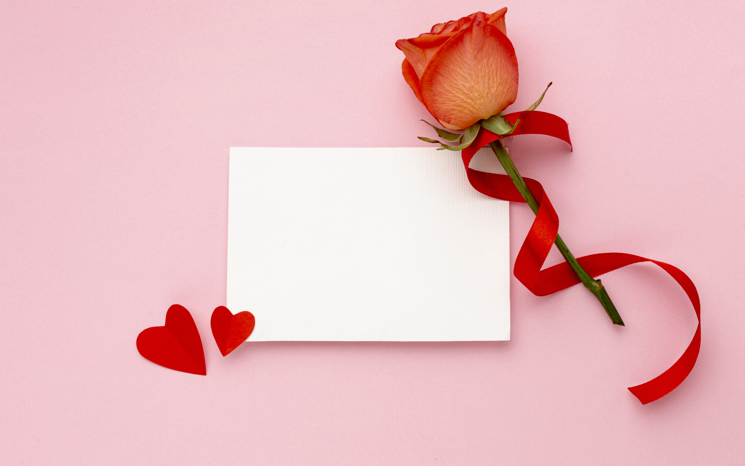 Роза с лентой и листом бумаги на розовом фоне, шаблон открытки