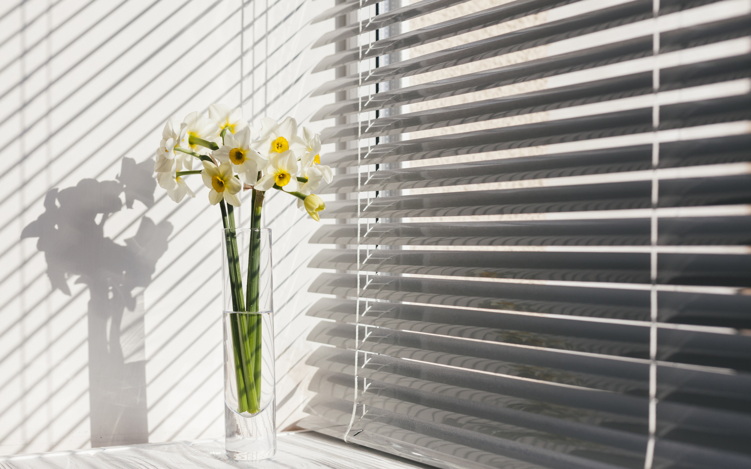 Белые нарциссы в вазе у окна
