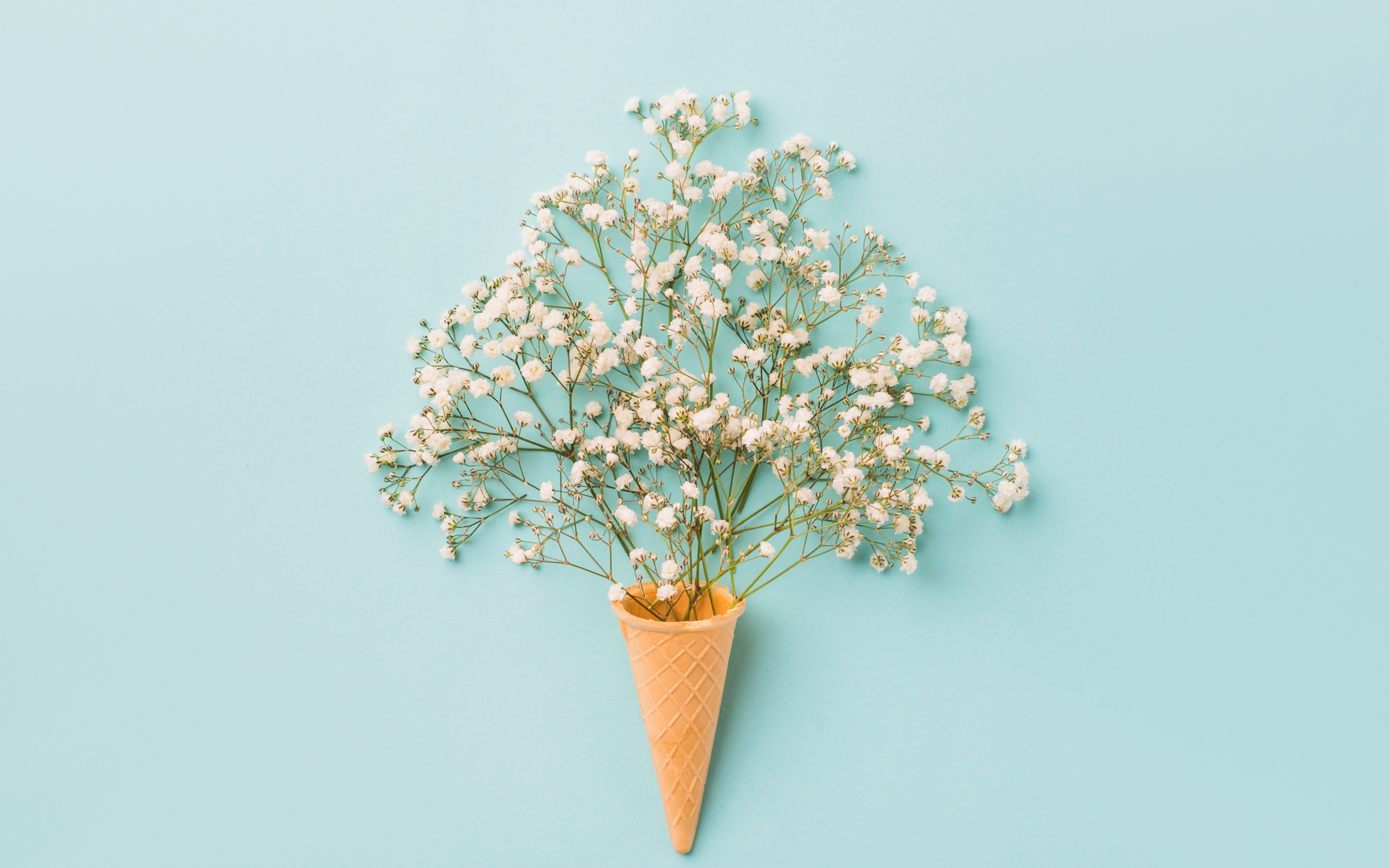 Белые цветы с вафельным рожком на голубом фоне