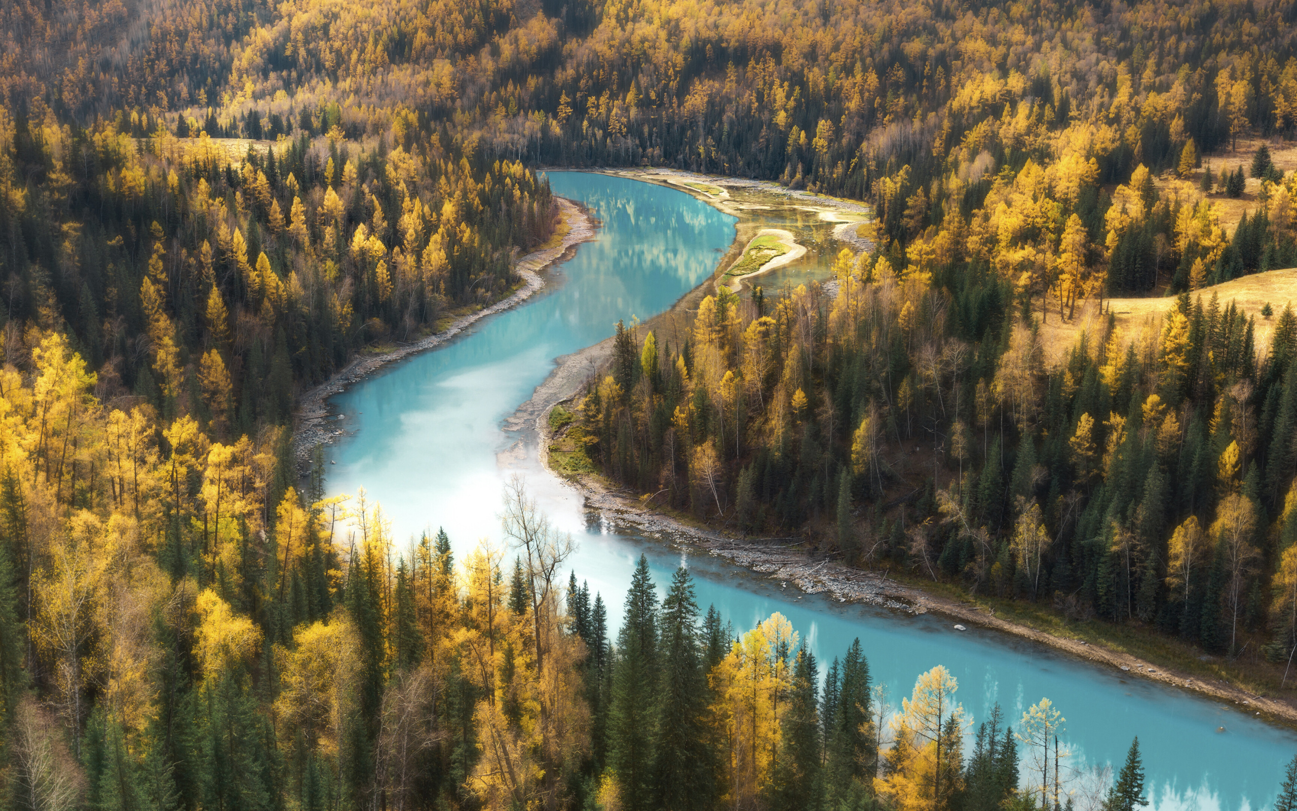Голубая вода в реке у осеннего леса