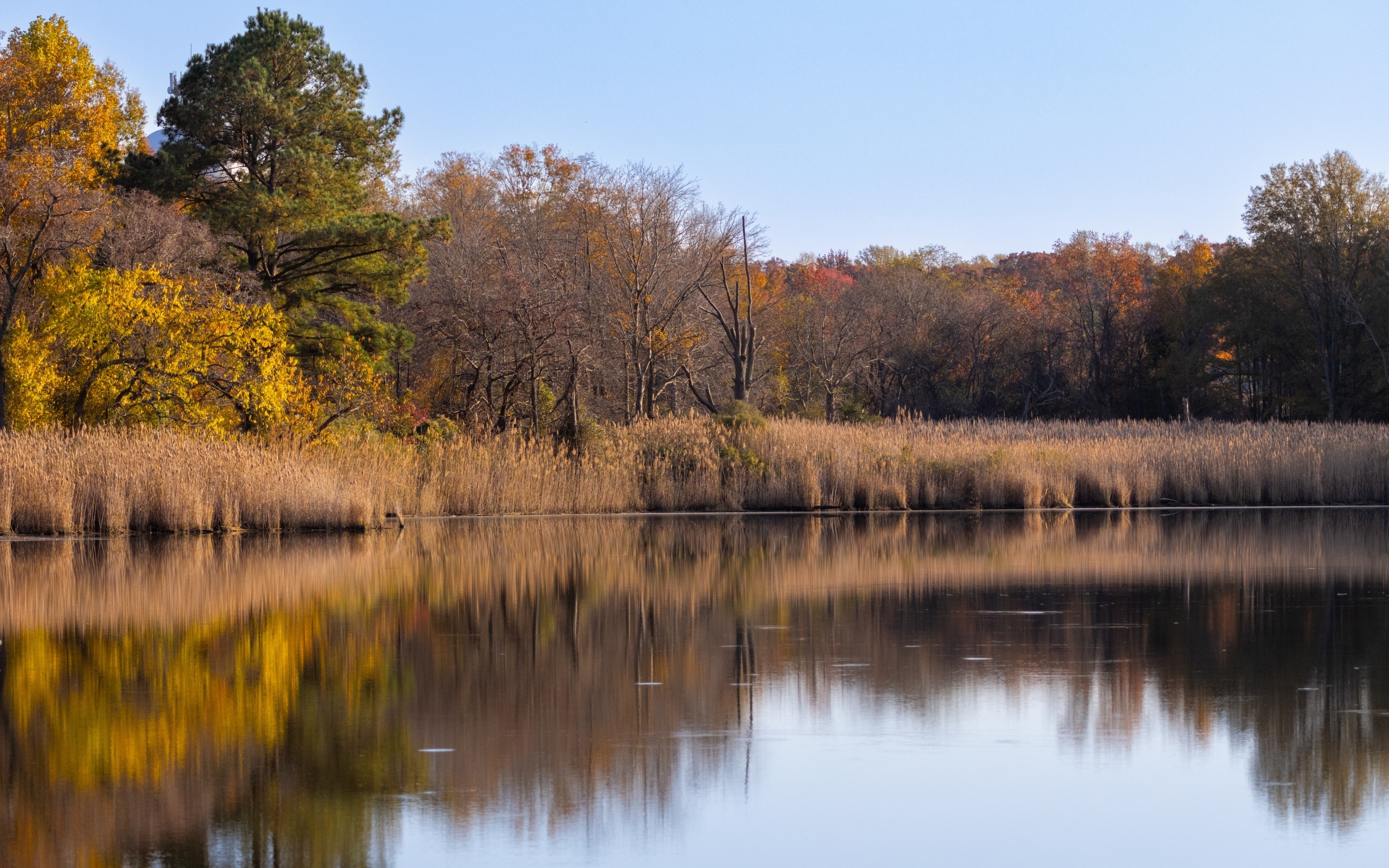 Спокойное озеро в лесу осенью 