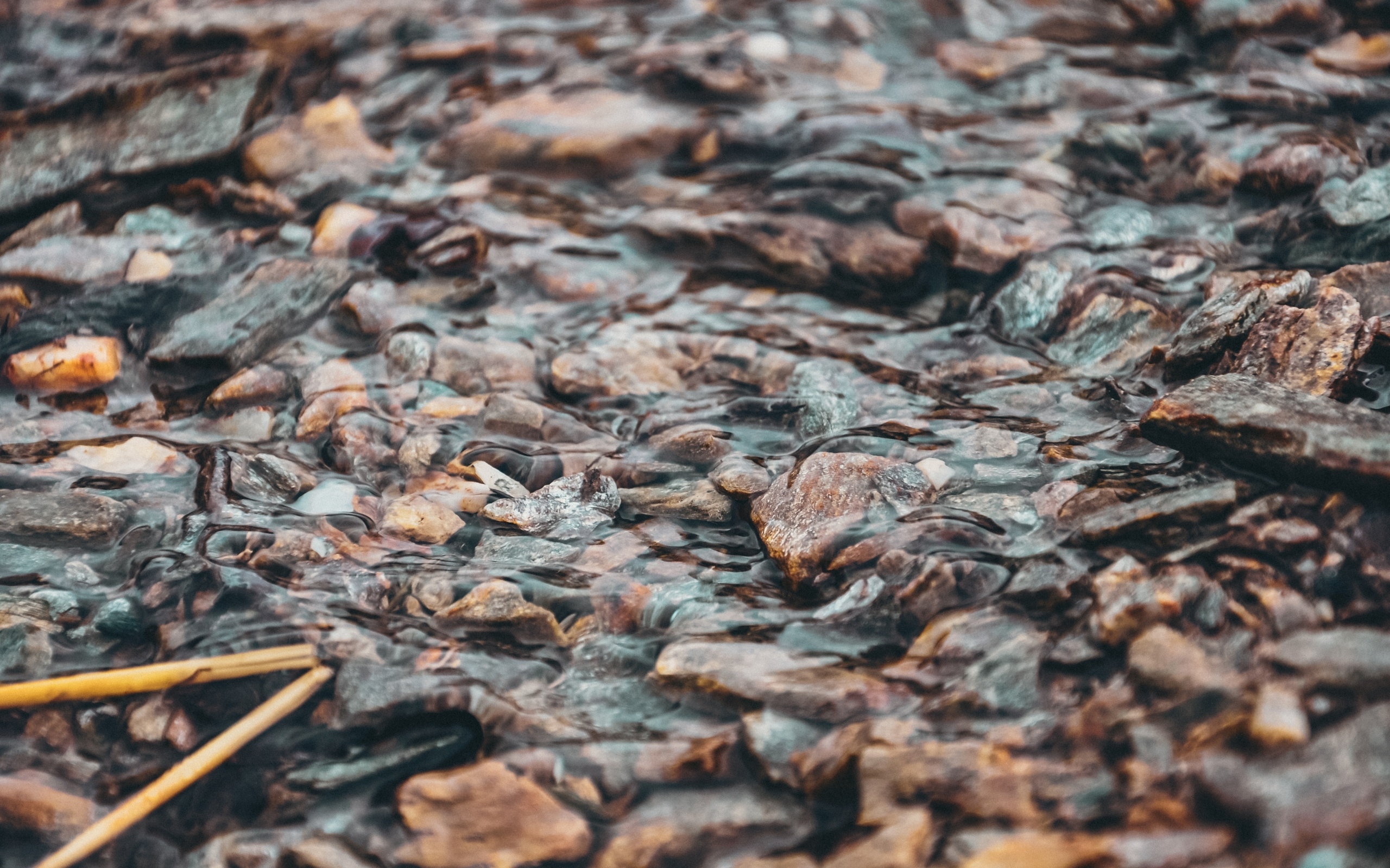 Мелкая река с камнями