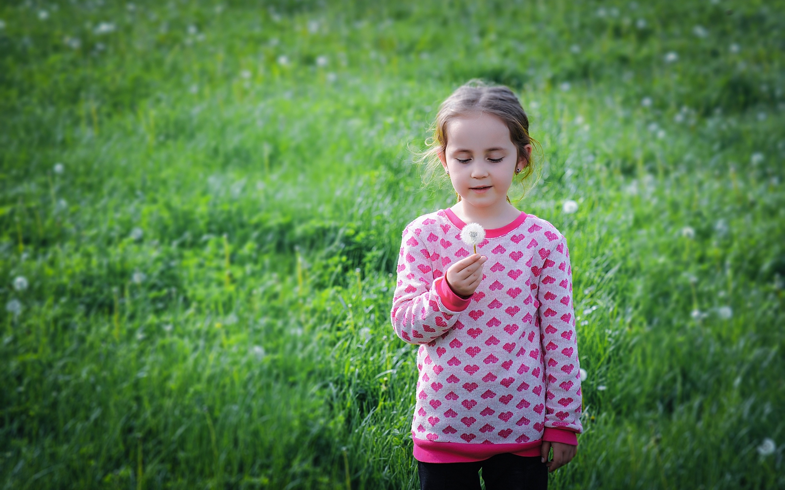 Девочка с одуванчиком на поле с зеленой травой
