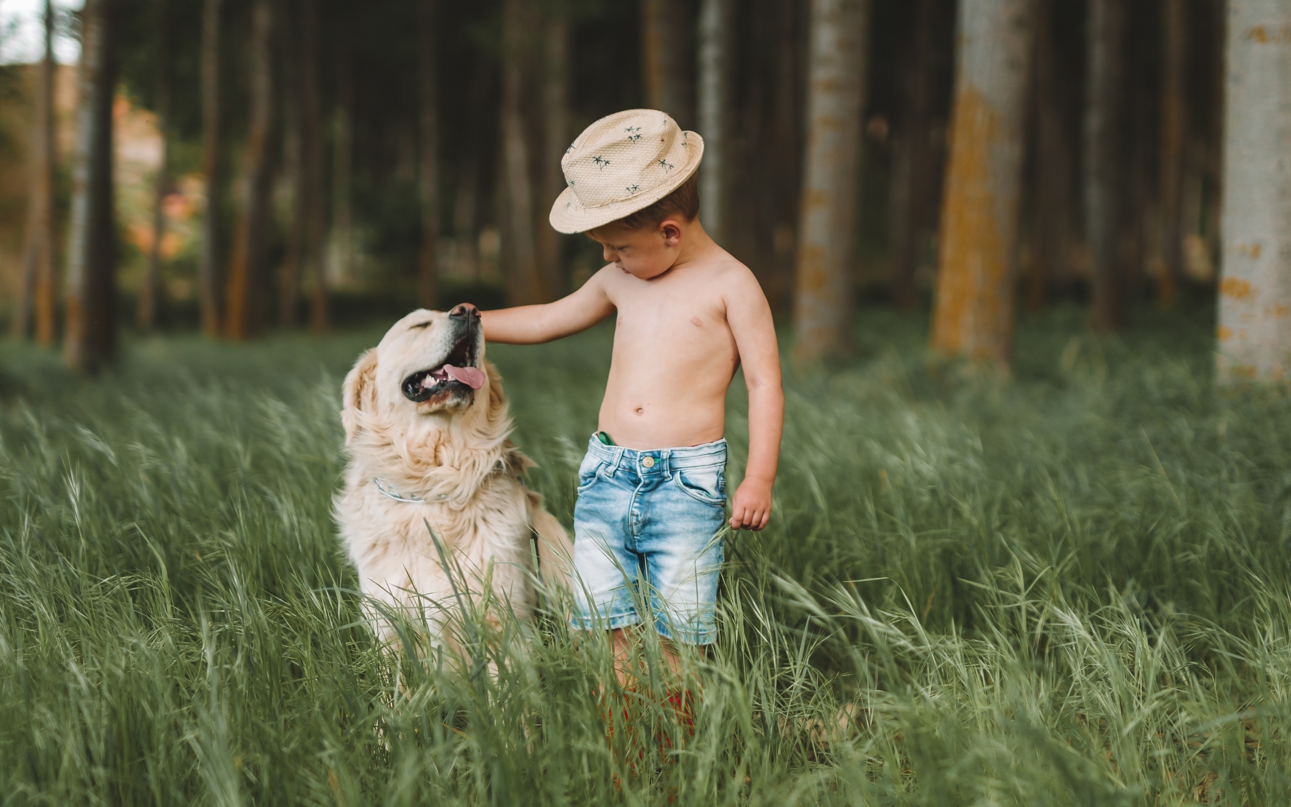 Маленький мальчик в траве с золотистым ретривером
