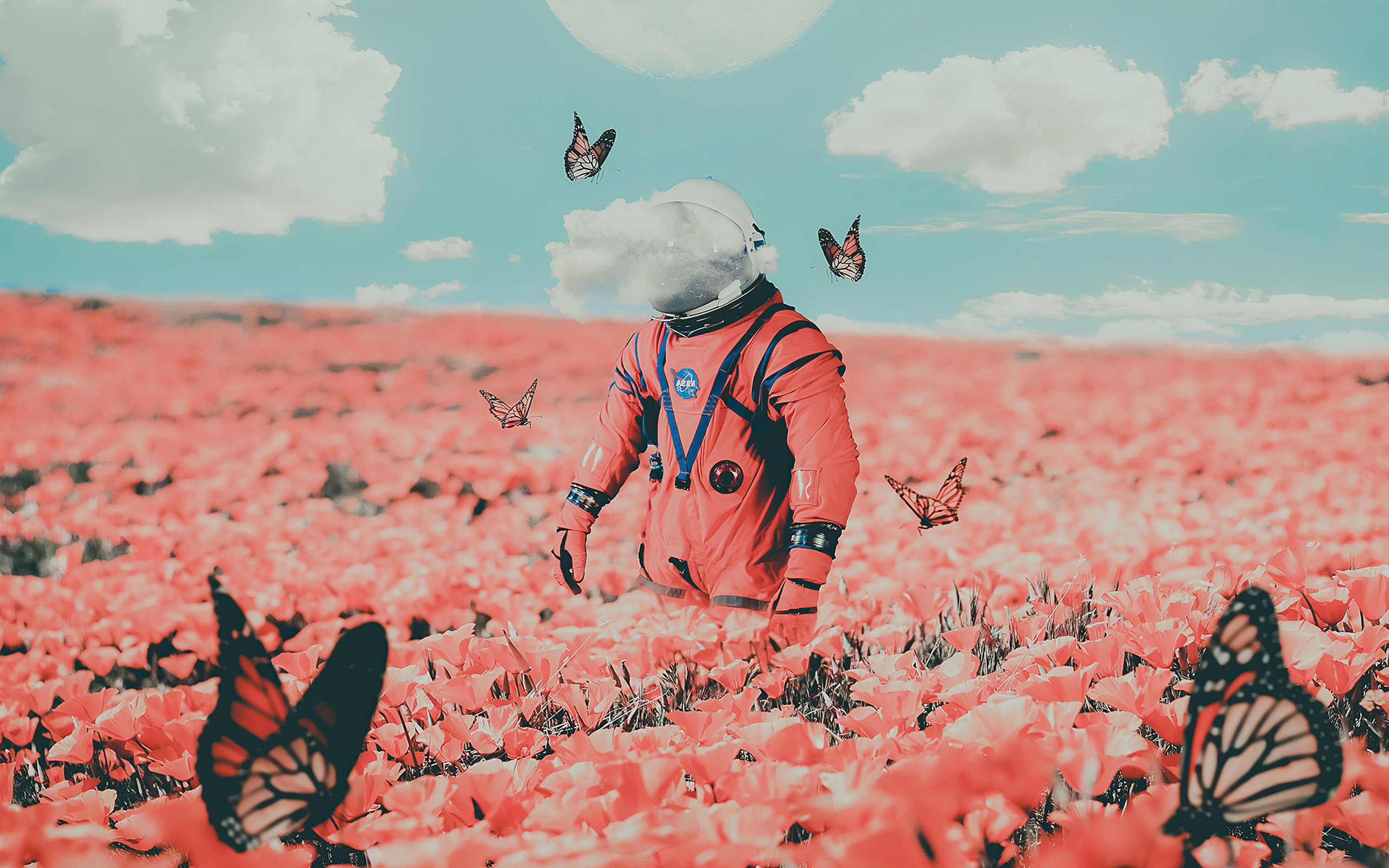 Астронавт на поле с красными маками и бабочками