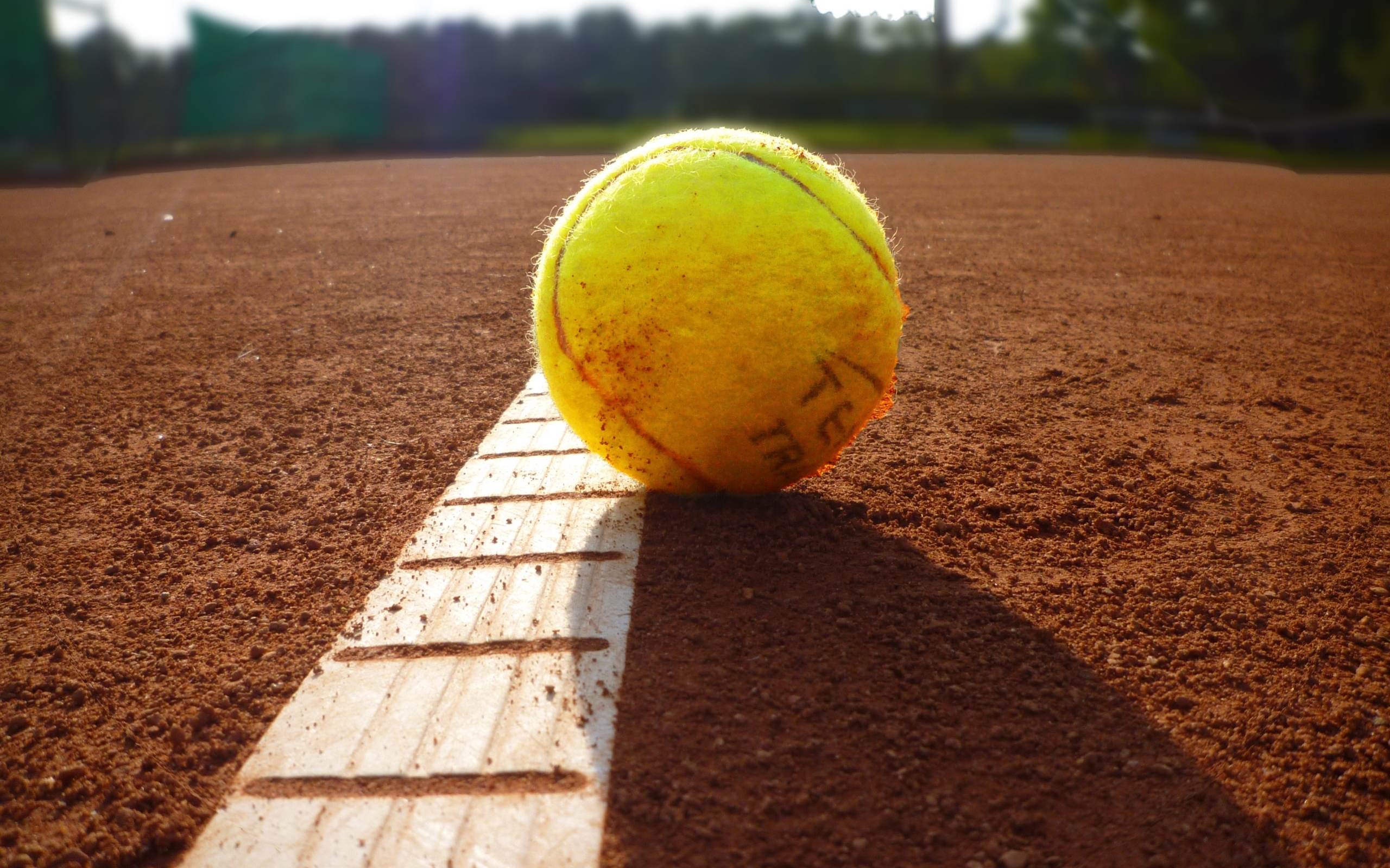 Желтый теннисный мяч лежит на поле