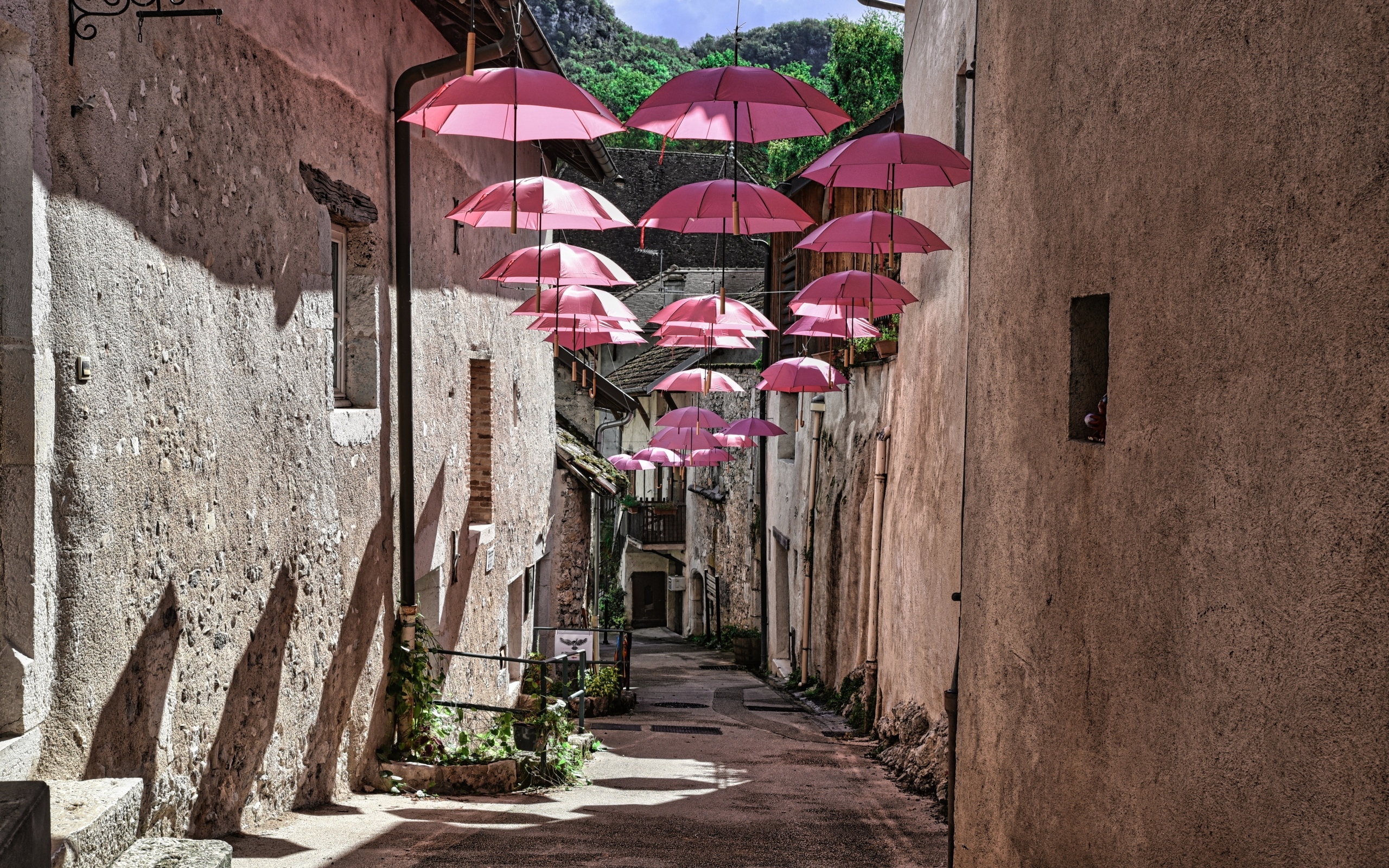 Розовые зонтики украшают узкую улицу