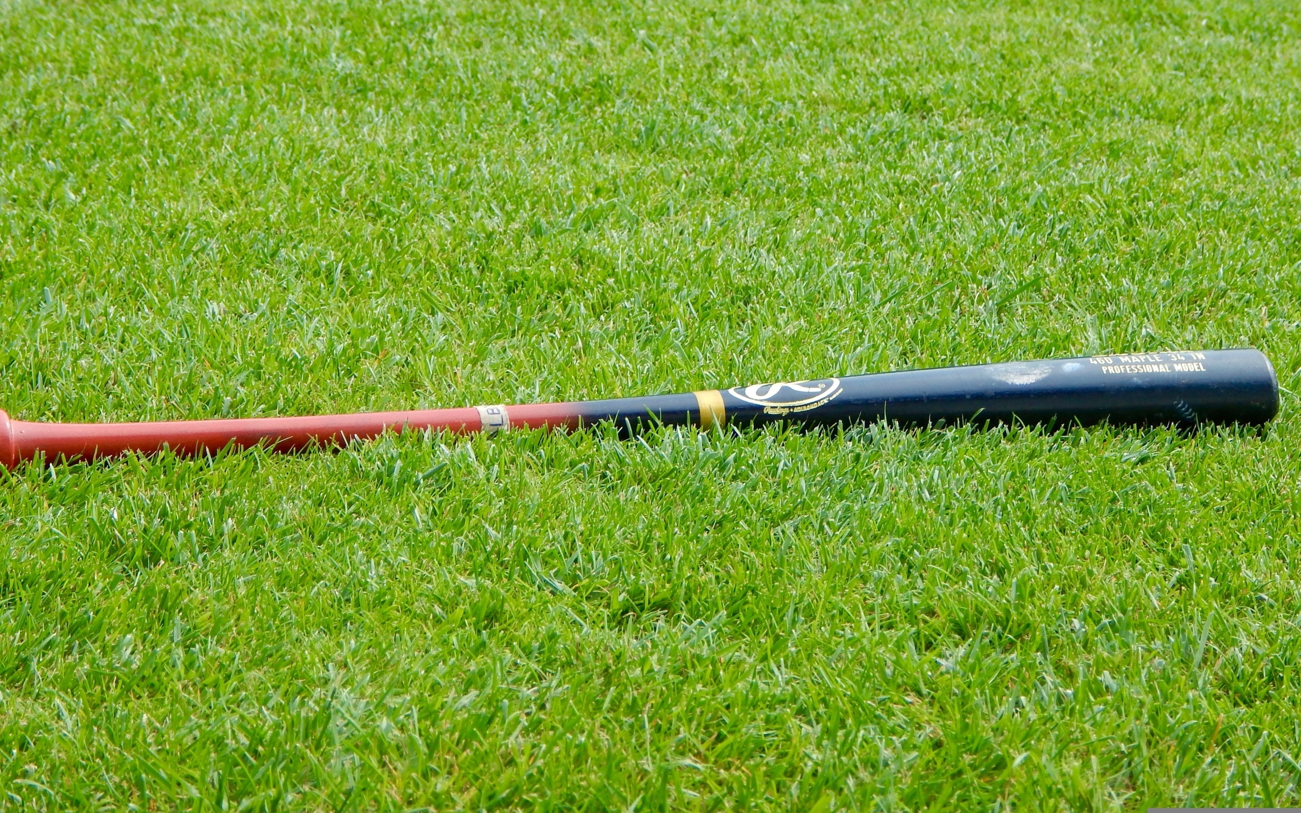 Бейсбольная бита на зеленой траве 