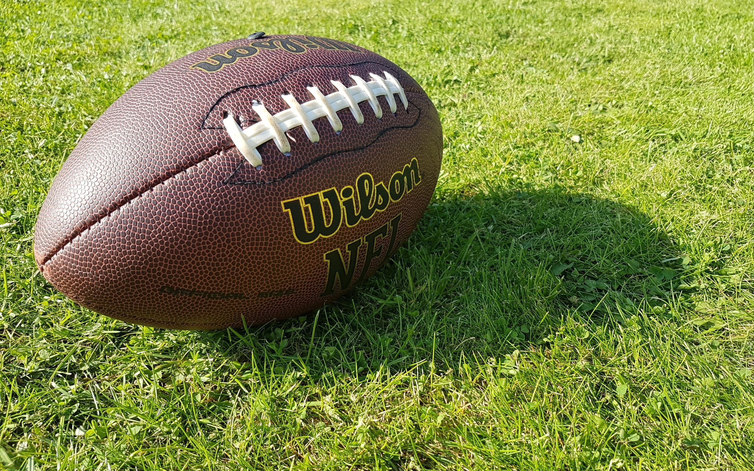 Кожаный мяч для американского футбола на зеленой траве