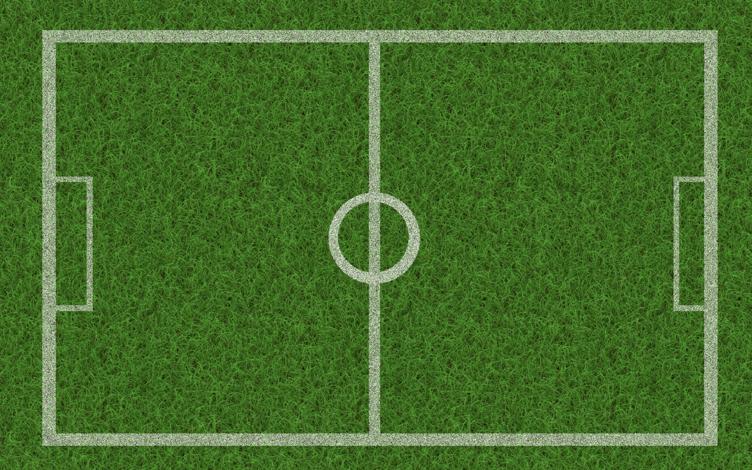 Поле расчерчено белыми линиями на зеленой траве