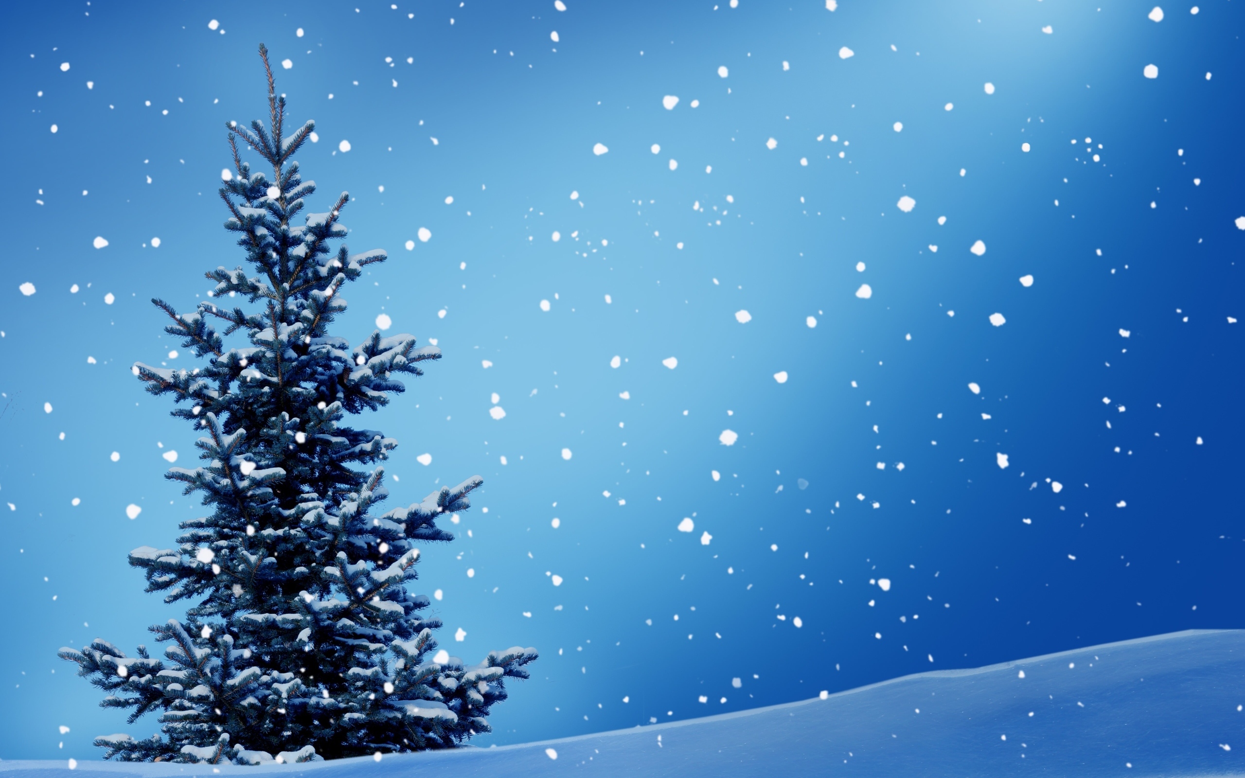 Зеленая ель на голубом фоне со снегом, шаблон для открытки