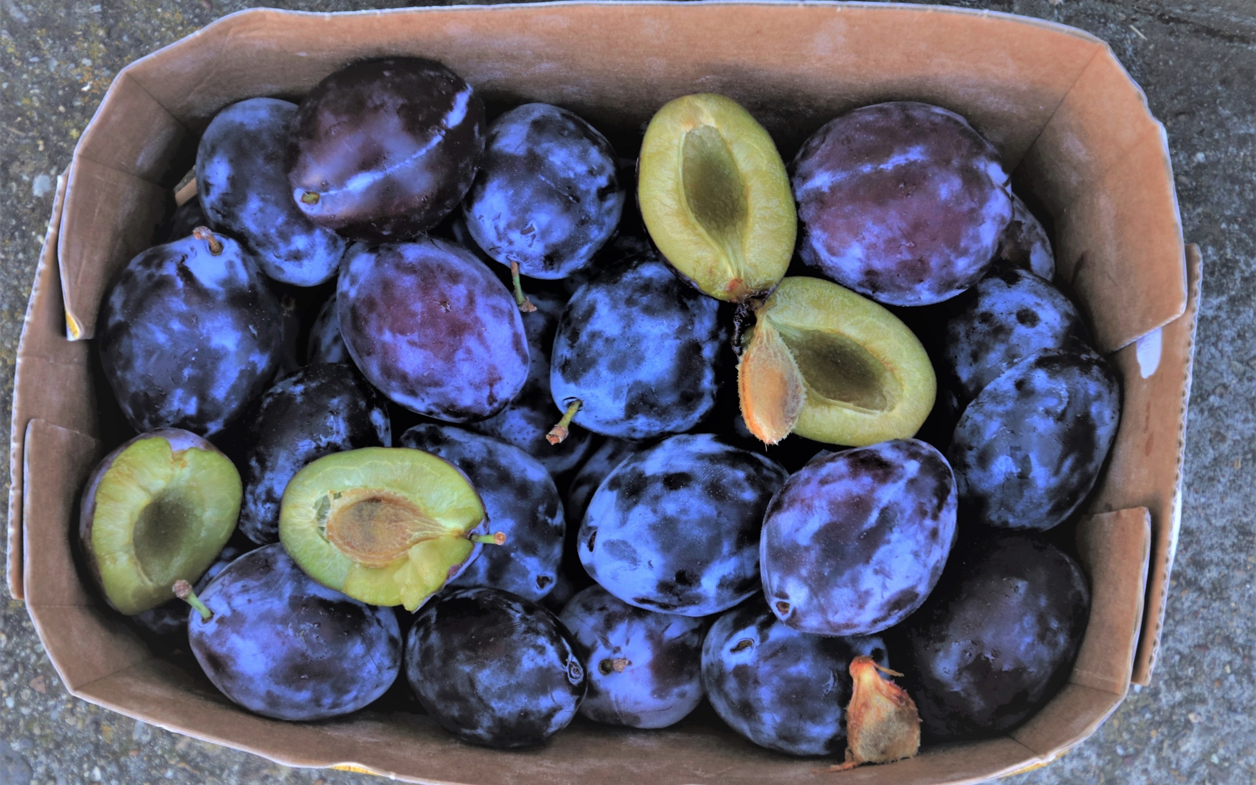 Синие сливы в коробке 
