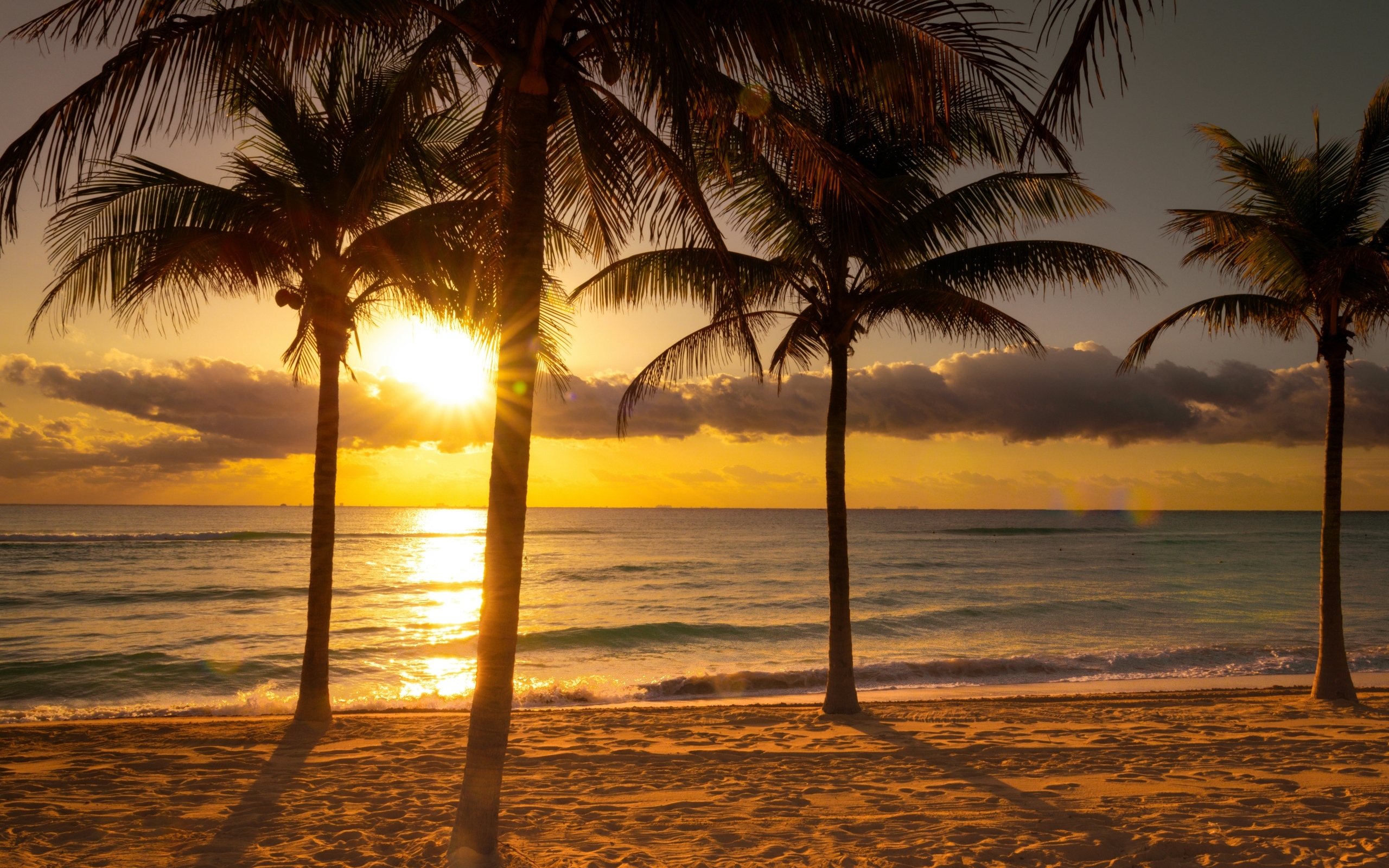 Пальмы на песке у океана на тропическом пляже
