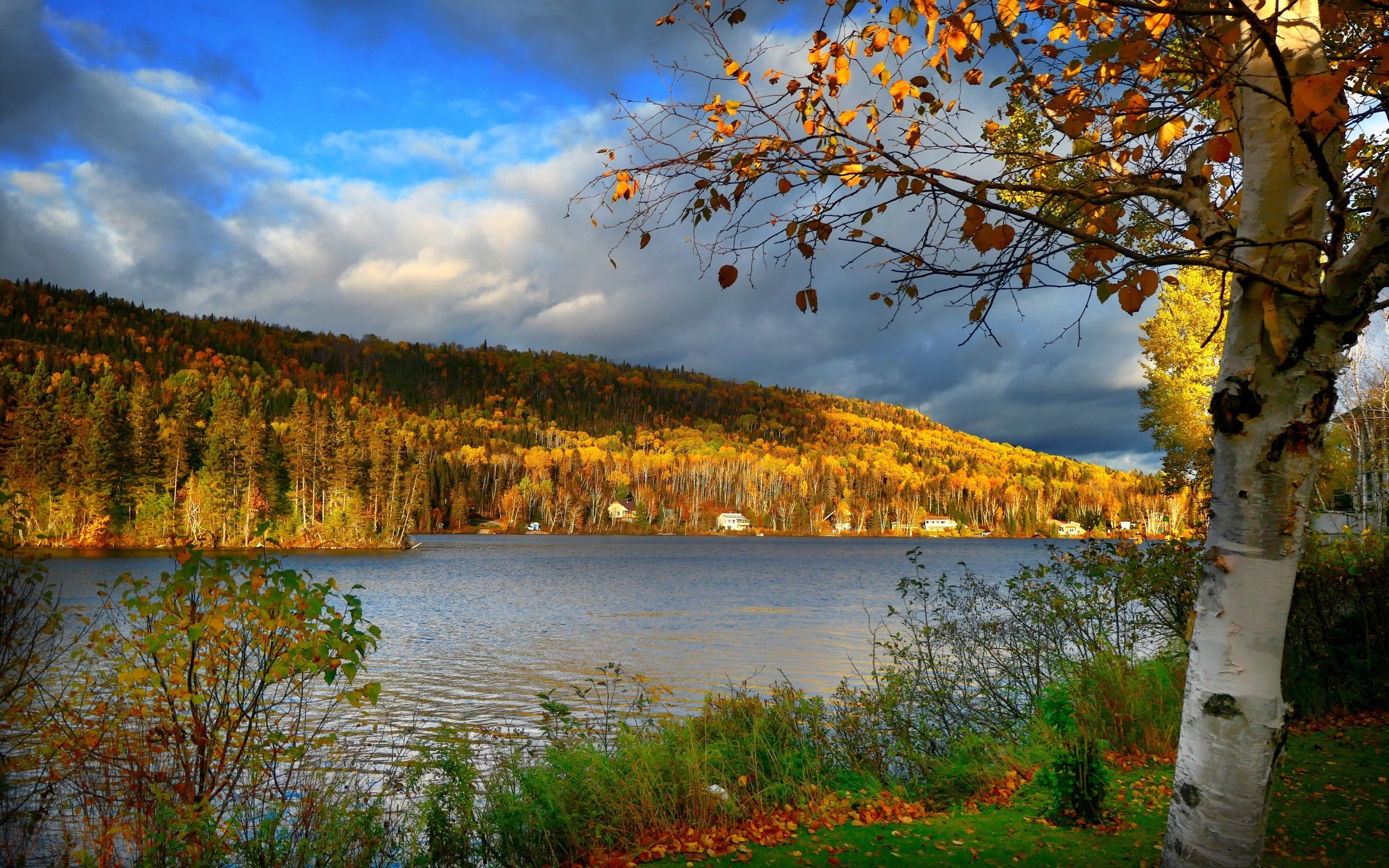 Осенний лес в лучах солнца у озера