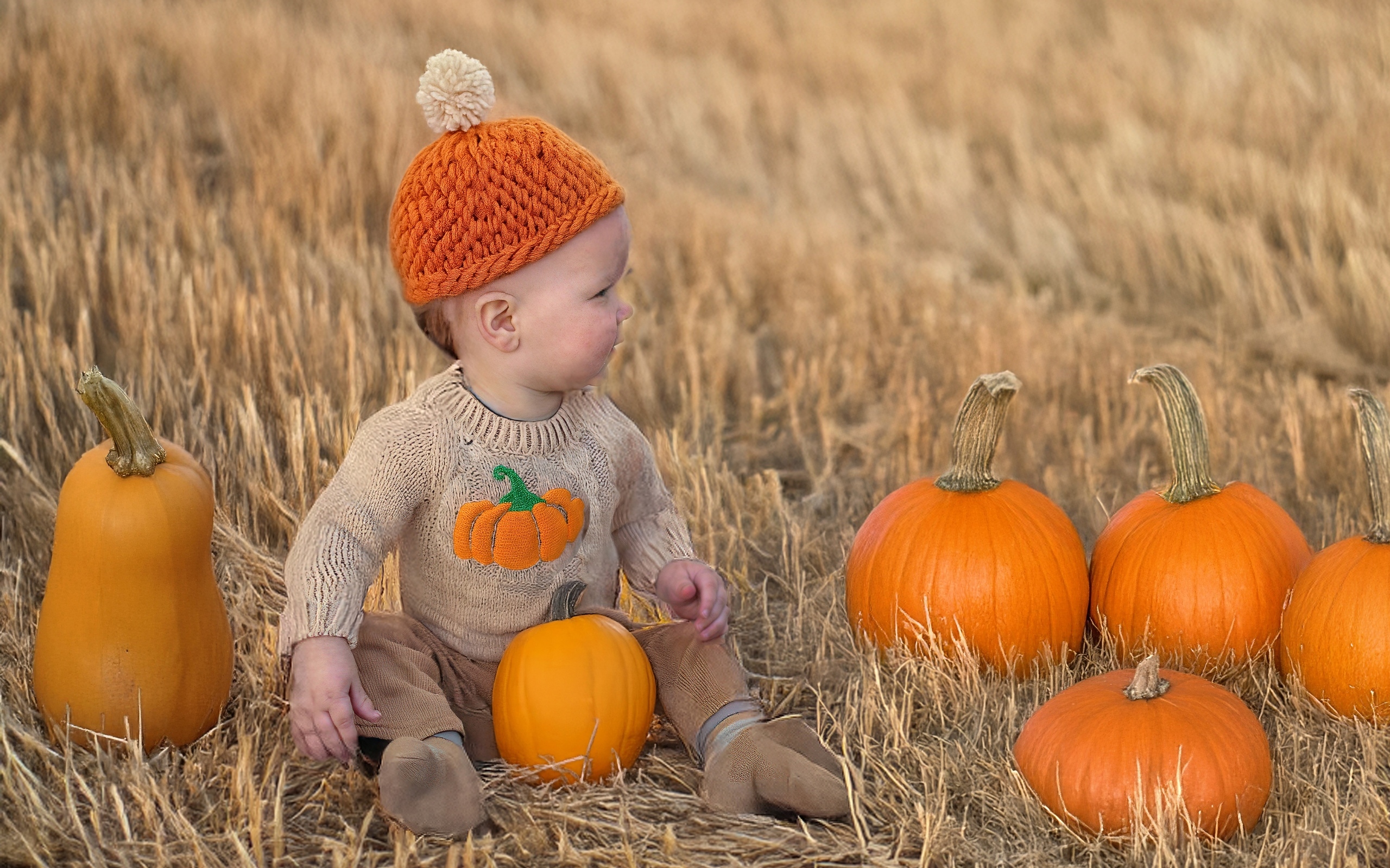 Маленький ребенок сидит на поле с тыквами