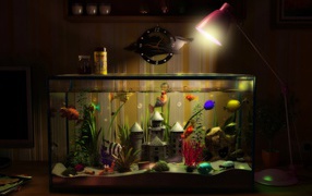 3D аквариум с рыбками