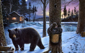 Мишки в лесу