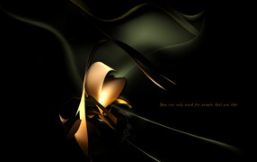 Черная вспышка