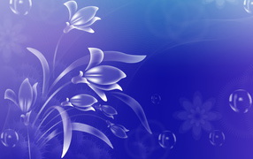 Голубые цветы