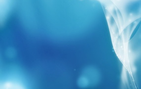 Голубой фон