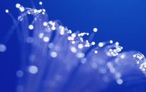 Синие пузыри