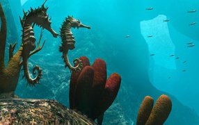 Морские обитатели