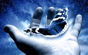 Бабочка в руке