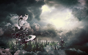 Видеокамеры