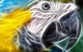 Разноцветный попугай