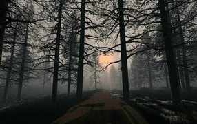 Обои на рабочий стол В Лесу