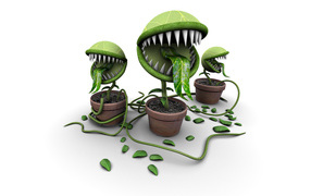 Покорми меня