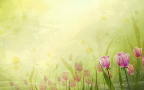 Поле цветов