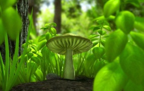 Зеленый гриб
