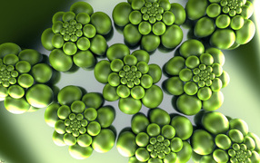 Зеленый штамм