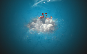 Рай фламинго