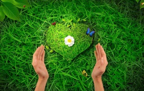 Травяное сердце