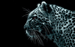 Леопард, взгляд вперед