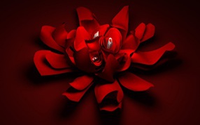 Цветок любви