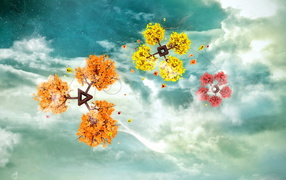 Разноцветные листья