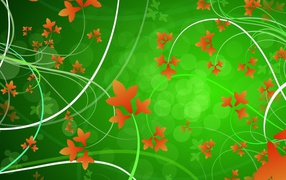 Оранжевые цветы