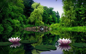 Пруд с кувшинками