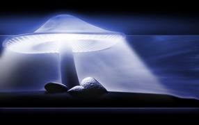 Защитный свет