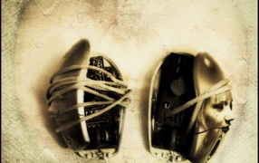 В мире мышей