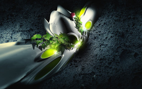 Проросшая роза