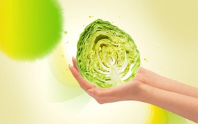 Качан капусты