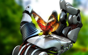 Бабочка на ладони