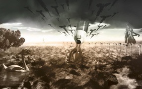 Преобразование Живой Ценности